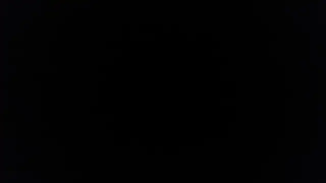 Snapshot of palidin1 chatting on 12/05/25, 07:43 palidin1 online show from 12/05/25, 07:43