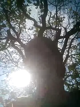 Snapshot of Mohni_Das chatting on 03/25/26, 07:47 Mohni Das online show from 03/25/26, 07:47