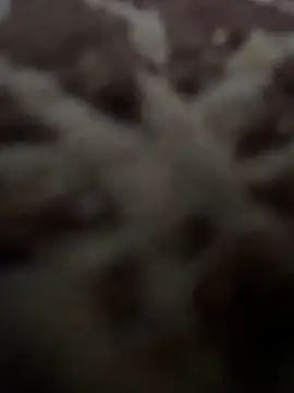 HHHHHxxn online show from 05/01/26, 09:41
