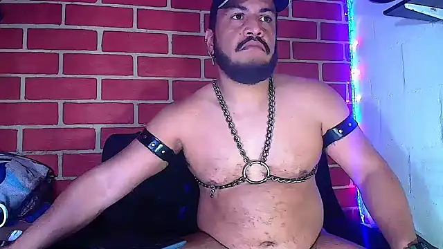 the master foal  online show from 01/10/25, 05:26