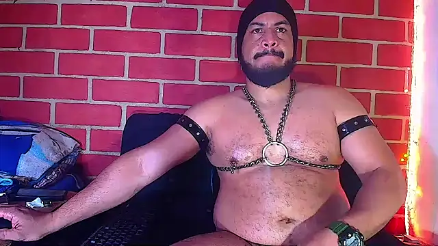 the master foal  online show from 01/10/25, 08:29