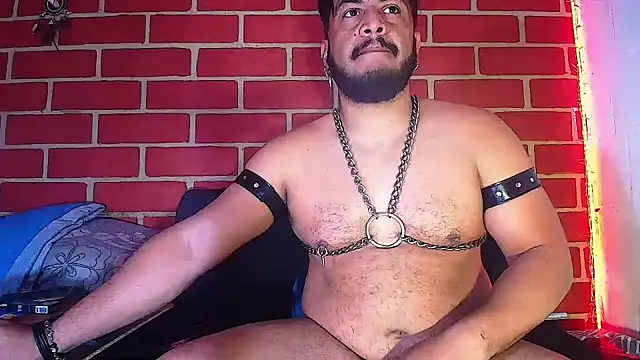 the master foal  online show from 02/04/25, 10:00