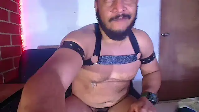 the master foal  online show from 02/06/25, 08:18