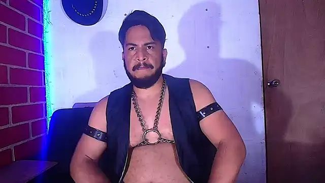 the master foal  online show from 02/08/25, 05:29