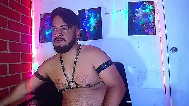 the master foal  online show from 03/01/25, 07:30