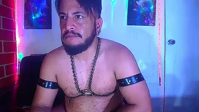 the master foal  online show from 03/05/25, 01:50