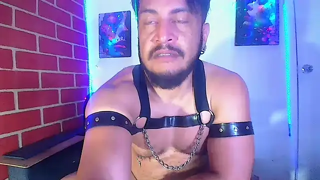 the master foal  online show from 03/07/25, 04:57