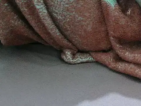 Snapshot of FUN4TIPS chatting on 03/01/25, 07:26 FUN4TIPS online show from 03/01/25, 07:26