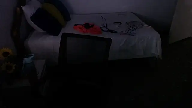 Snapshot of emiliaa_hot chatting on 01/29/25, 11:56 emiliaa hot online show from 01/29/25, 11:56