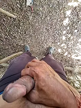 breejs online show from 11/15/25, 06:55