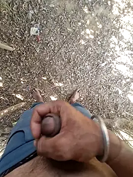 breejs online show from 11/23/25, 08:25