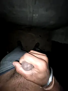 breejs online show from 12/15/25, 02:21