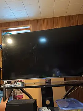 Mini And The Bear online show from 03/29/26, 03:01