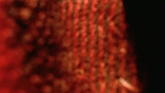 rockhead1971 online show from 10/18/25, 10:49