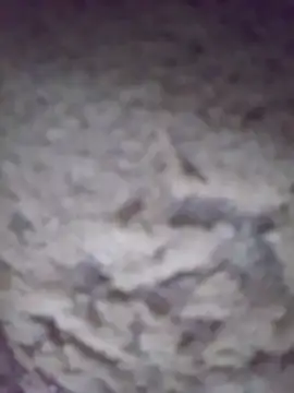 king-lobo-act online show from 10/29/25, 02:19