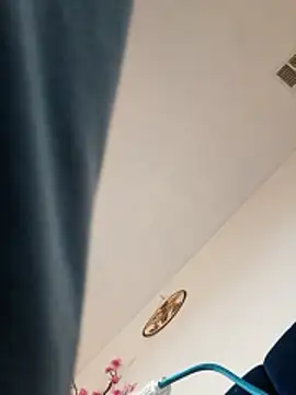 dickmedaddy27 online show from 01/17/26, 04:11