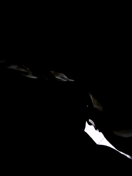 Snapshot of 74bob chatting on 09/21/25, 04:25 74bob online show from 09/21/25, 04:25