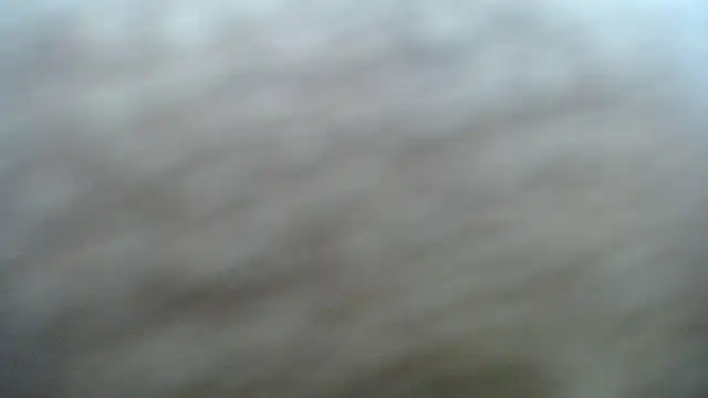 DAPHNE doll online show from 11/06/25, 03:35