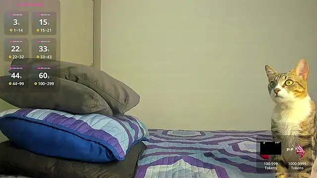 caroline tovar online show from 11/29/25, 01:30