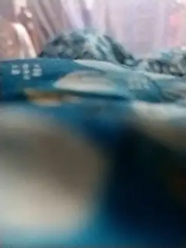 Rajxxxdx4u online show from 01/13/26, 09:42