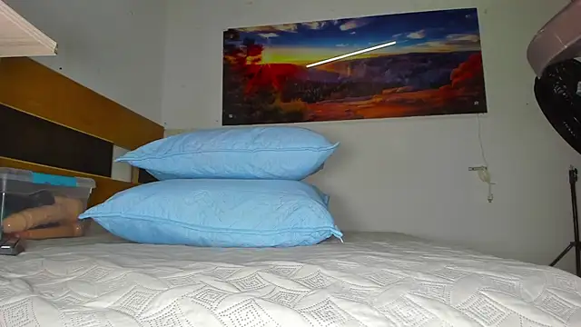 Snapshot of _ebony-queen_ chatting on 02/28/25, 11:58 ebony-queen online show from 02/28/25, 11:58