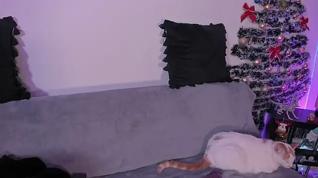 Snapshot of pamela_doll3 chatting on 12/21/25, 03:35 pamela doll3 online show from 12/21/25, 03:35