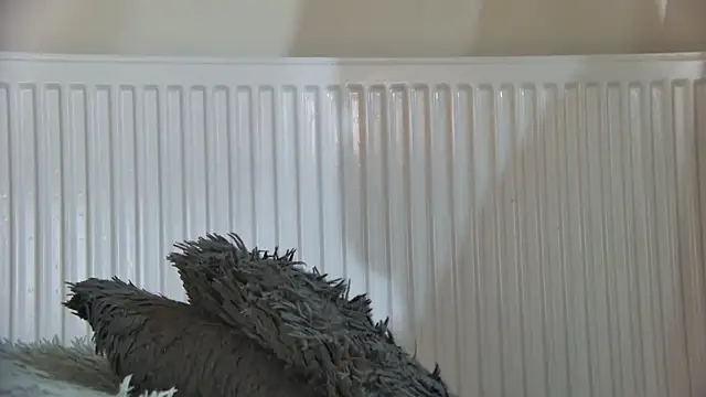 curvyana69 online show from 01/05/26, 05:27