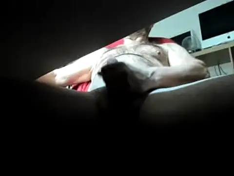 leccaleccafiga online show from 03/01/25, 03:49