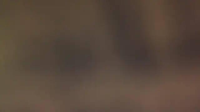 leccaleccafiga online show from 03/12/26, 06:47