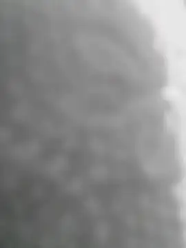 Sexilvenia online show from 05/15/26, 10:28