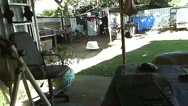 herbie010666 online show from 12/14/24, 07:29