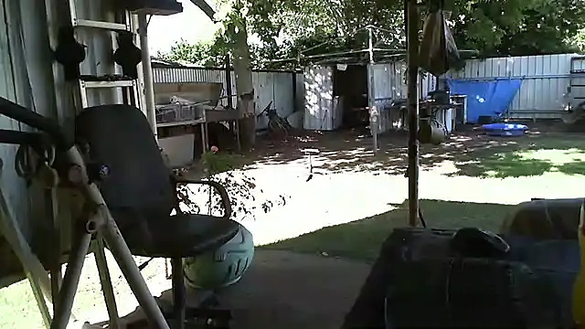 herbie010666 online show from 12/22/24, 06:06