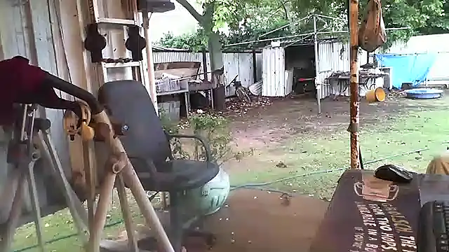 herbie010666 online show from 12/27/24, 07:51