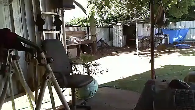 herbie010666 online show from 12/28/24, 06:49