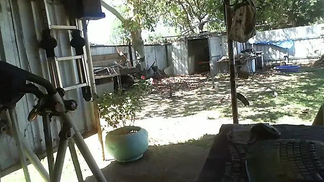 Snapshot of herbie010666 chatting on 11/06/25, 04:24 herbie010666 online show from 11/06/25, 04:24