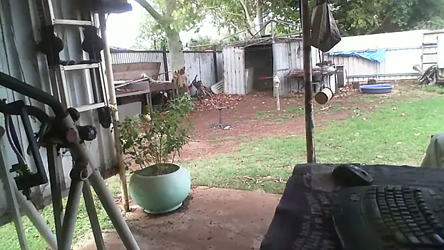 Snapshot of herbie010666 chatting on 11/27/25, 04:25 herbie010666 online show from 11/27/25, 04:25