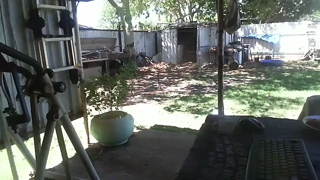 Snapshot of herbie010666 chatting on 12/02/25, 03:56 herbie010666 online show from 12/02/25, 03:56