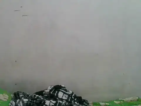 simplewild mom online show from 09/18/25, 12:34