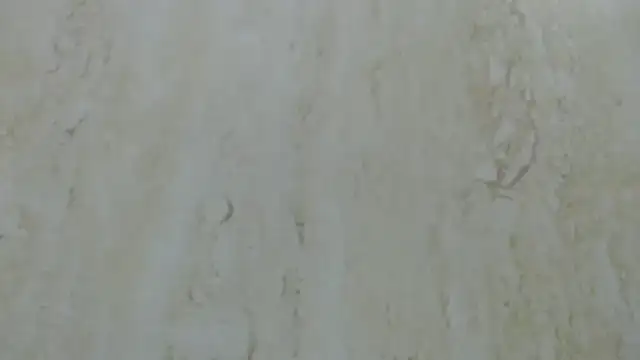 Crazy team  online show from 12/20/24, 03:31