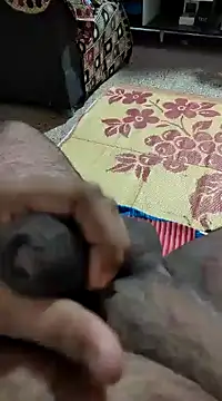 Snapshot of Swift2006 chatting on 02/11/25, 04:11 Swift2006 online show from 02/11/25, 04:11