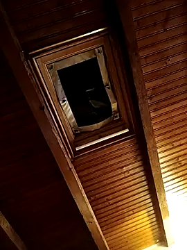 Snapshot of CurlyElisa chatting on 02/26/26, 09:36 CurlyElisa online show from 02/26/26, 09:36