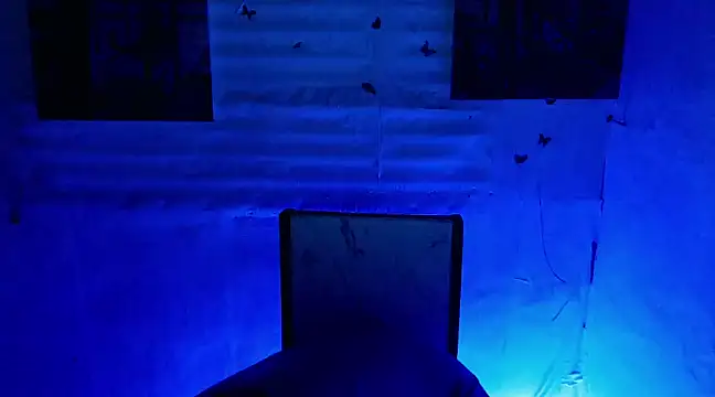 bbygrl Carol online show from 01/05/25, 10:32