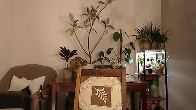 Herman Elfi online show from 03/13/25, 11:16