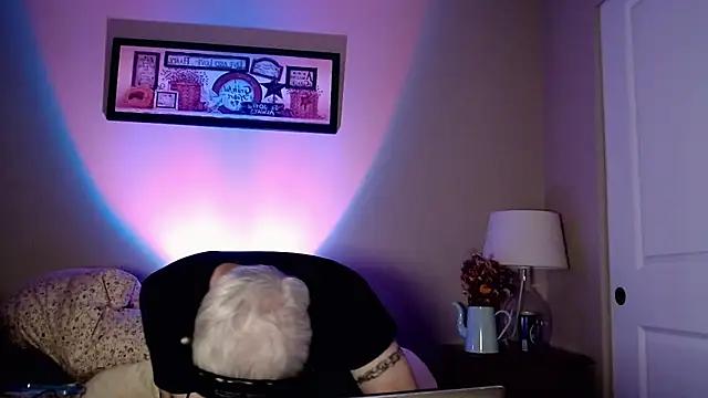 Snarfle82 online show from 11/17/25, 06:52