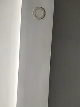 ElsecretodeBruno online show from 02/18/25, 06:15