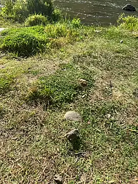 MAHKE12 online show from 09/27/25, 11:15