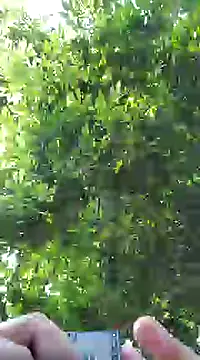 Snapshot of pene8991 chatting on 01/17/25, 07:16 pene8991 online show from 01/17/25, 07:16