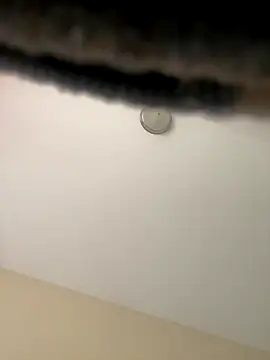 Snapshot of Iced_cloudz chatting on 12/14/25, 03:17 Iced cloudz online show from 12/14/25, 03:17