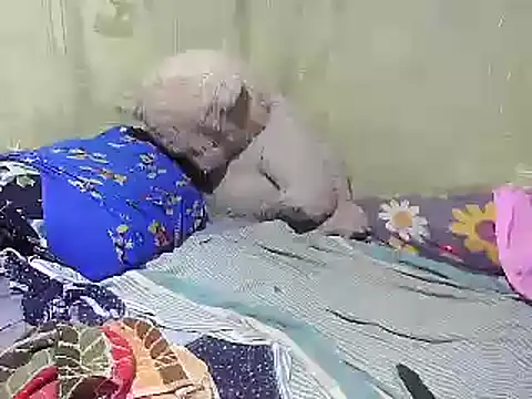 Snapshot of Alora-shine chatting on 02/18/25, 09:21 Alora-shine online show from 02/18/25, 09:21