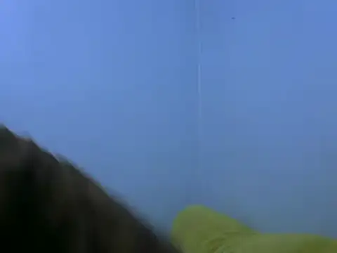 Forsia online show from 02/06/25, 05:57